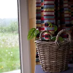 Lodge Tiny House Les Jours Heureux Sejour Nature Pres De Dinant Et Des Lacs De L Eau D Heure