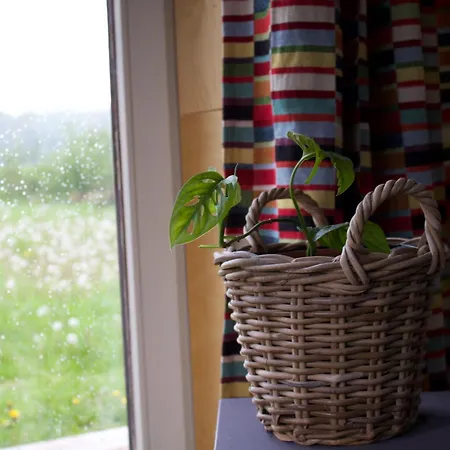 山林小屋 Tiny House Les Jours Heureux Sejour Nature Pres De Dinant Et Des Lacs De L Eau D Heure
